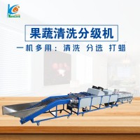 柑桔分級(jí)機(jī) 清洗風(fēng)干打蠟選果機(jī) 水果分級(jí)機(jī) 臍橙檸檬分選機(jī)