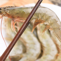 國產(chǎn)大蝦 海鮮水產(chǎn) 2斤裝生鮮凍品冷凍南美白對蝦青蝦基圍蝦批發(fā)