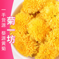 婺源黃菊 批發(fā)散裝500g新貨徽州黃菊花茶產(chǎn)地貨源批發(fā)皇菊大黃菊