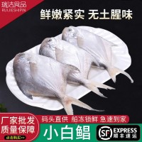小號(hào)銀鯧魚鮮活海捕海鮮新鮮冷凍白鯧魚鳊魚平魚水產(chǎn)批發(fā)順豐冷鏈