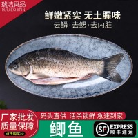 定制淡水鯽魚三去鯽魚鮮活現(xiàn)殺燉湯非冷凍新鮮大鯽魚質(zhì)量保障