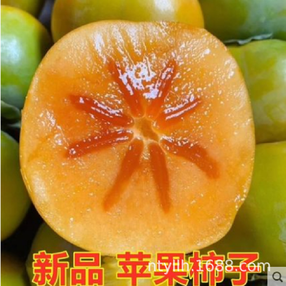 蘋果柿.png