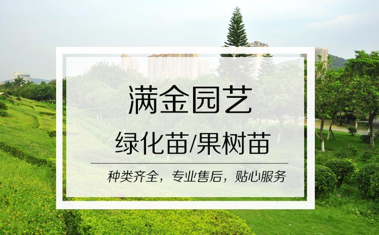 開頭