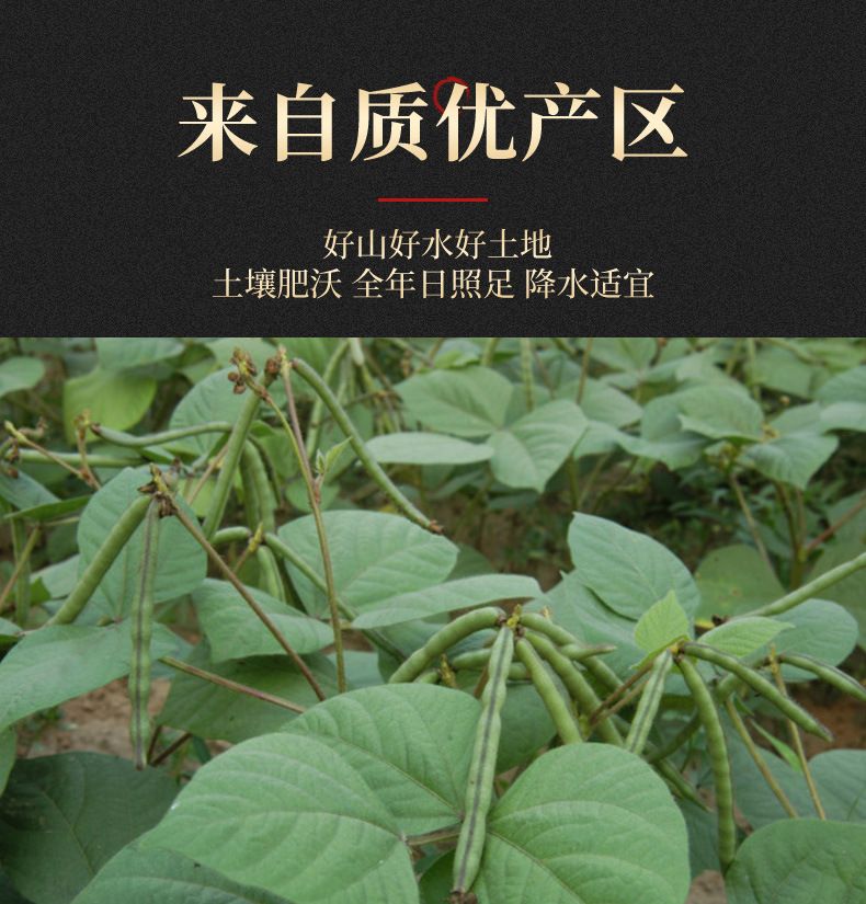 1赤小豆_04