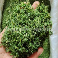 產(chǎn)地一手貨源相思藤茶 雞骨草茶 巴馬藤茶直接泡水
