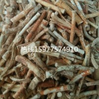 一手貨源五指牛奶 五指毛桃小根節(jié)新貨香味濃