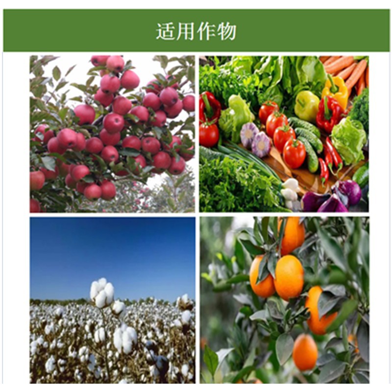 春迪適用作物副本(1)