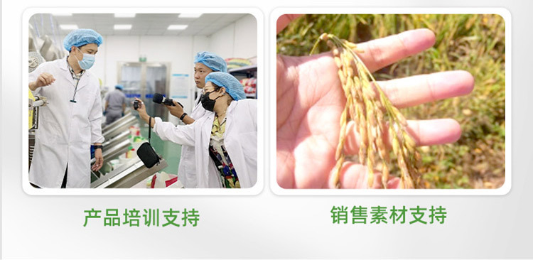 750-胚芽米詳情頁_11