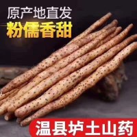 鐵棍山藥河南特產(chǎn)焦作溫縣懷山藥棍5斤氣柱裝鐵桿農(nóng)家山藥60公分