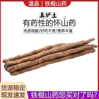 鐵棍山藥河南焦作壚土鐵棍山藥產(chǎn)地批發(fā)非淮山藥一件代發(fā)懷 山藥