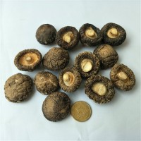 產(chǎn)地直銷小香菇 香信菇 2022農(nóng)家新貨250g 食用菌金錢菇 味香