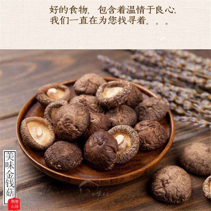 金錢菇