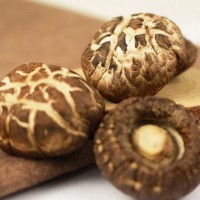 【產(chǎn)地直供】小花菇干貨散裝批發(fā)香菇肉厚花菇蘑菇金錢菇量大從優(yōu)