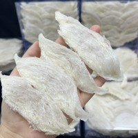 雨季半干挑大燕條 批發(fā)馬來(lái)印尼燕窩 量大價(jià)優(yōu)鮮燉燕窩原料招代理