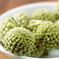 西藏綠蘿花批發(fā)大貨散裝 花草茶 密猛花 藏綠蘿花 雪麗花一件批發(fā)
