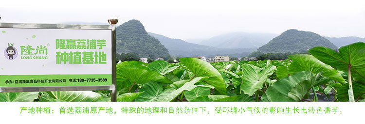 芋塊類_08.jpg