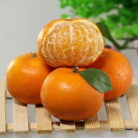 本地果園現(xiàn)摘廣西特產(chǎn)當(dāng)季新鮮水果9斤大果沃柑禮盒定制logo