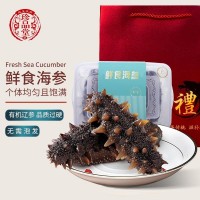 珍品堂大連海參 遼參 刺參 海參鮮食 精品佛跳墻成品加熱即食海參