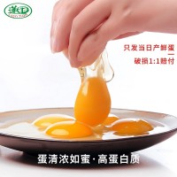 江漢土雞批發(fā)雞蛋新鮮現(xiàn)撿現(xiàn)發(fā)無抗優(yōu)選農(nóng)家蓮田雞蛋30枚破損包賠