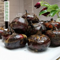 廣西荔浦馬蹄現(xiàn)挖新鮮帶泥荸薺馬蹄清甜脆爽馬蹄批發(fā)