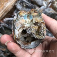 【龍蝦頭】加拿大進(jìn)口波龍頭 熬湯做醬用冷凍加拿大波士頓龍蝦頭
