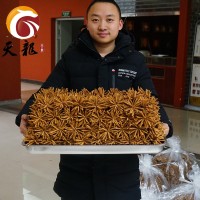 西藏冬蟲(chóng)夏草4000條 多規(guī)格綜合接鏈 單品10克起售