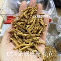 冬蟲(chóng)夏草 西藏 不帶尾巴斷蟲(chóng)草 肉節(jié)