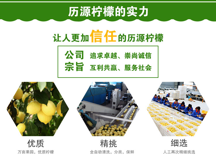 青檸檬詳情頁9_08