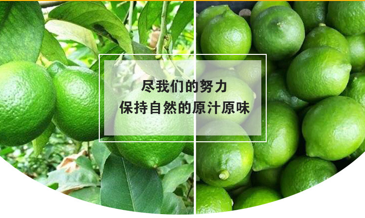 青檸檬詳情頁9_02