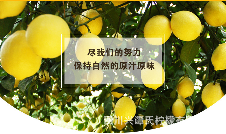 黃檸檬詳情頁(yè)9_02