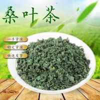 新貨桑葉茶霜后桑葉茶散裝批發(fā)霜桑葉茶 桑葉顆粒茶桑芽茶 桑葉