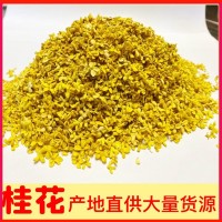 桂花 批發(fā)花草茶 桂花產(chǎn)地直發(fā) 桂花茶 桂花干散裝 常年供應(yīng)大貨