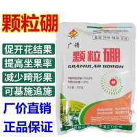 顆粒硼肥農(nóng)用基肥有機(jī)肥沖施硼砂硼肥純硼花卉果樹蔬菜微量元素