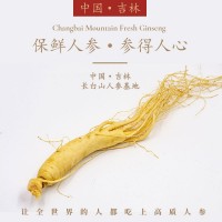 長(zhǎng)白山新鮮人參批發(fā)廠家直銷東北土特產(chǎn)保鮮參煲湯火鍋地?cái)偱菥茀?/></a>
<ul><li><a href=