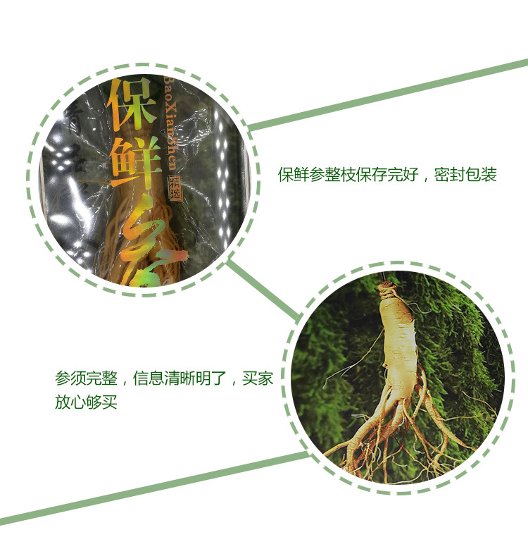 詳情頁(yè)_10