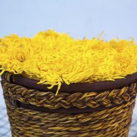 22 新花廠家供應 金絲皇菊 菊花茶 一朵一杯 大黃菊 散貨批發(fā)