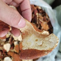 陳皮 橘子皮 生曬大紅皮 廣東生曬陳皮干量大從優(yōu)