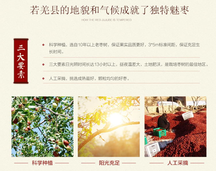 紅棗-詳情頁_08.jpg