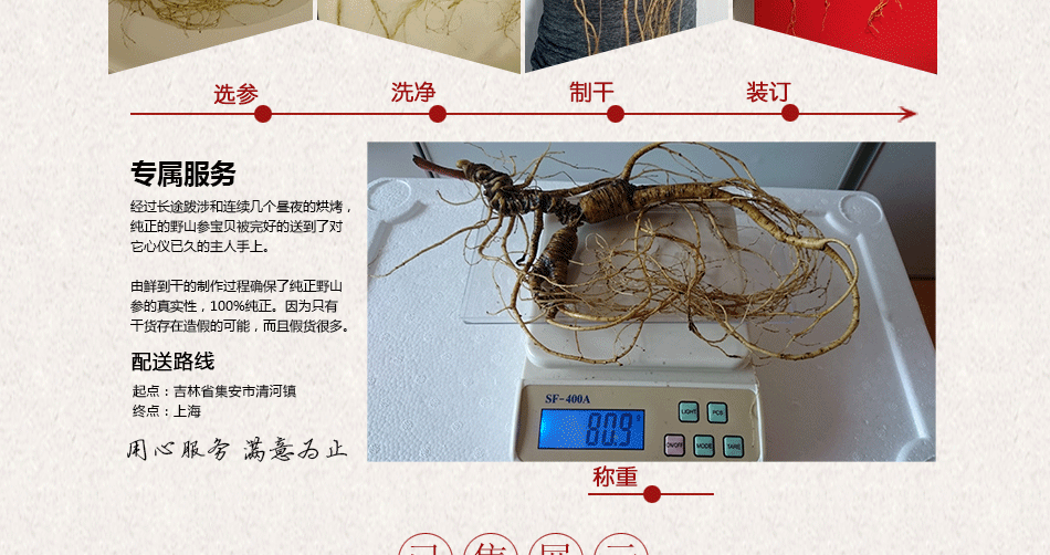 殘150年以上野山參_24