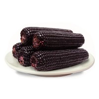 甜糯玉米真空裝黑玉米黃玉米白玉米東北速食黏玉米棒大棒嘴上東北