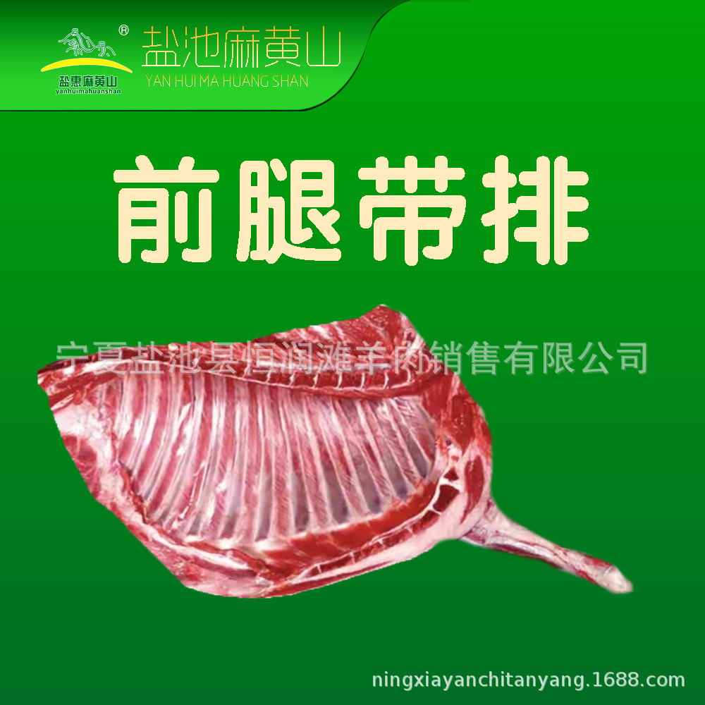 前腿帶排.jpg