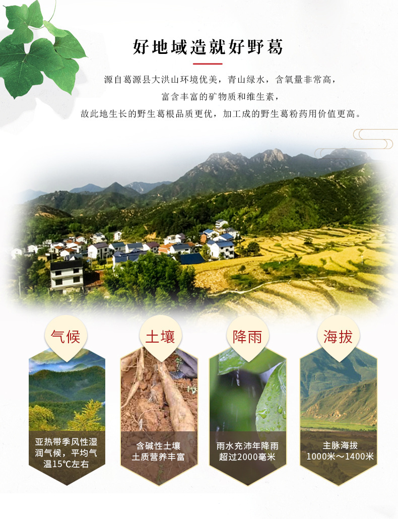 葛根面條_04.jpg