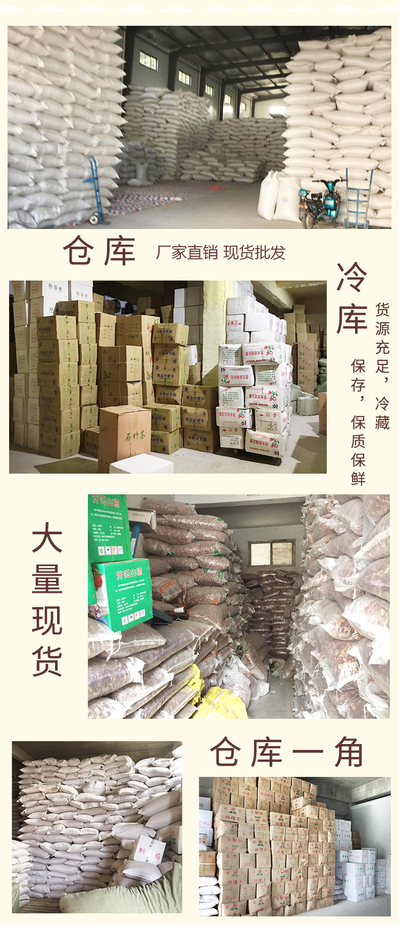 苦蕎茶專用
