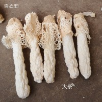 云南農(nóng)家特產(chǎn)食材干貨短裙肉厚紅托竹蓀竹笙煲湯香菇類食用菌