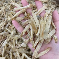 500g批發(fā)沙蟲北海沙蟲無沙小沙蟲海鮮干貨海產品海味