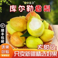 新疆庫爾勒香梨5/8斤精選新鮮梨子現(xiàn)摘現(xiàn)發(fā)整箱批發(fā)一件代發(fā)