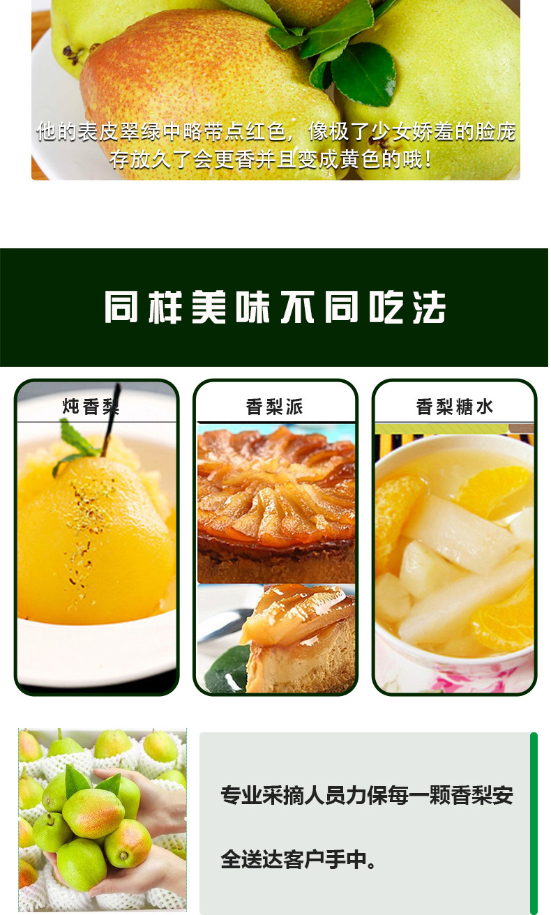 庫爾勒香梨_06