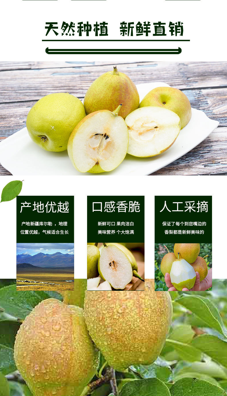 庫爾勒香梨_03