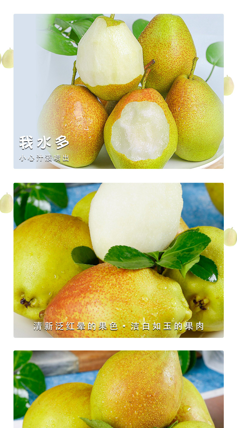 庫爾勒香梨_05