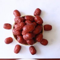 供應(yīng)新疆大棗